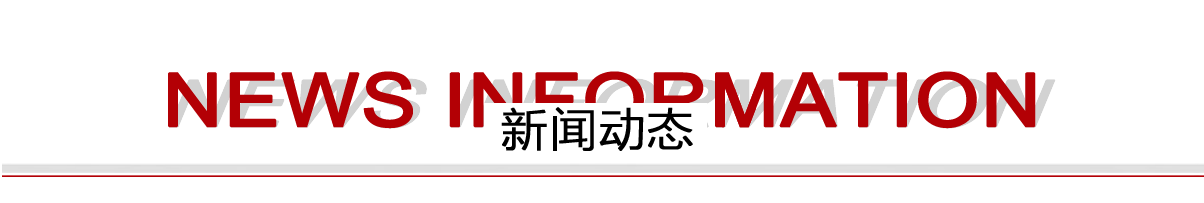 新闻动态